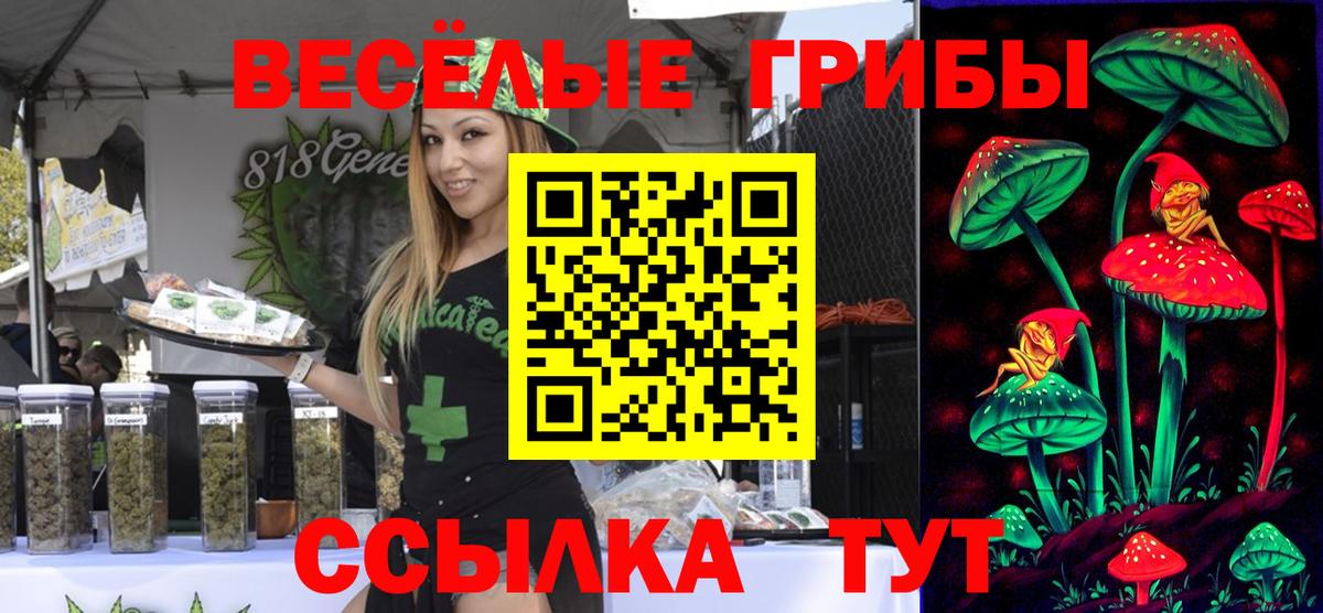 Галлюциногенные грибы GOLDEN TEACHER  Псилоцибиновые грибы Magic Shrooms  Вход с VPN  Дюртюли 